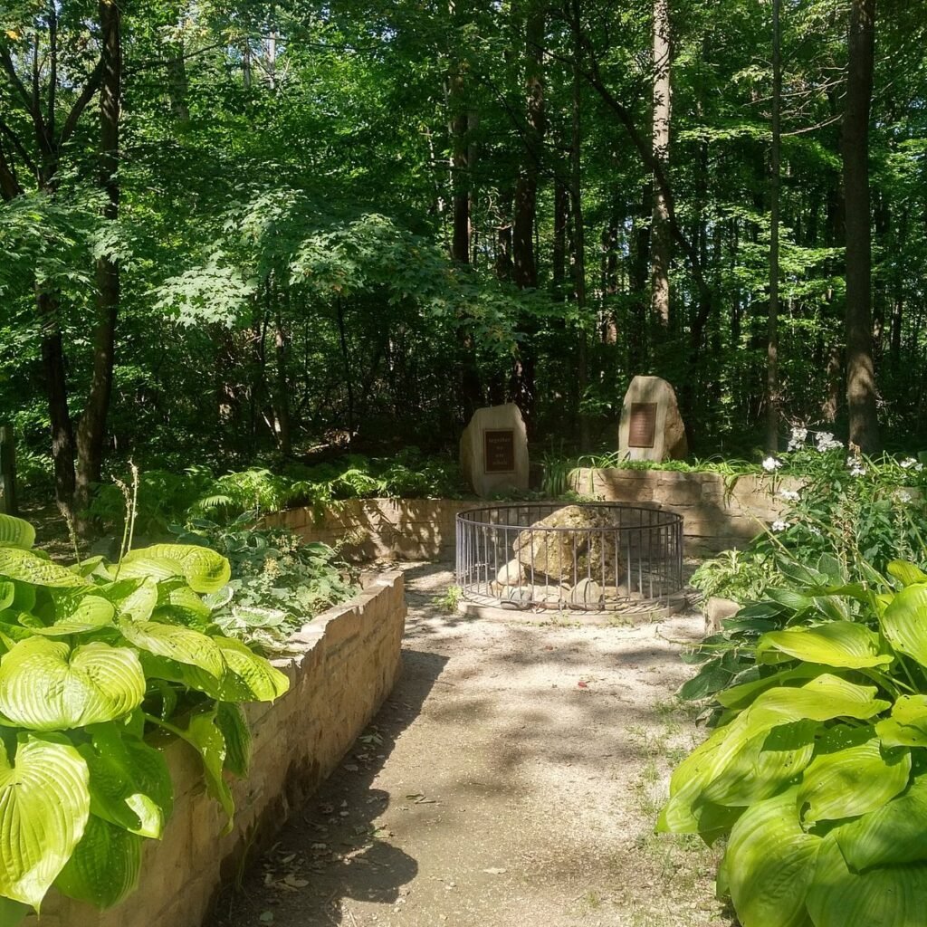 McGinty's Café downtown Meaford cozy cafe and garden scenery