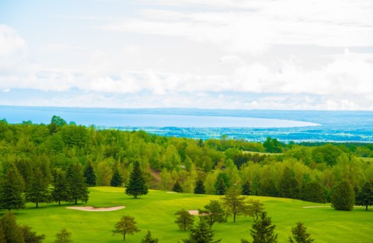 Duntroon Highlands Golf scenic course surrounded by mature forest and countryside